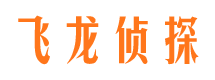 金湾市调查公司